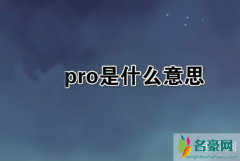 Pro是什么意思？球鞋中的Pro是什么版本