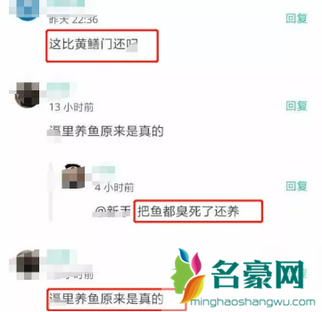 鲤鱼门事件又出来了 最新鲤鱼门事件是什么2