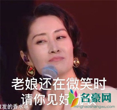 刘敏涛新鲜表情包出炉：拿什么去形容你最贴切11