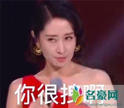 刘敏涛新鲜表情包出炉：拿什么去形容你最贴切12