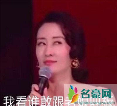 刘敏涛新鲜表情包出炉：拿什么去形容你最贴切8