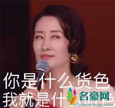刘敏涛新鲜表情包出炉：拿什么去形容你最贴切6