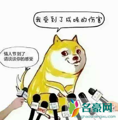 单身狗如何反击秀恩爱 单身狗如何自我安慰