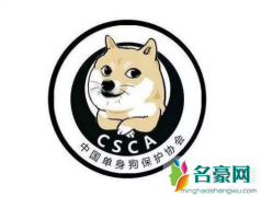 情人节单生狗怎么过 单身狗怎么找对象