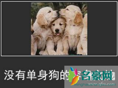 情人节单生狗怎么过 情人节单生狗如何避免被虐狗