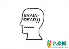 北面 x Brain Dead 全新联名系列发布 Brain Dead是什么档