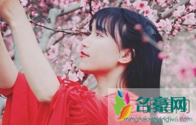 李子柒学历身世曝光 她长什么样子其实已经不是重点了喜欢她的人就行