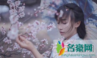 李子柒学历身世曝光 她长什么样子其实已经不是重点了喜欢她的人就行