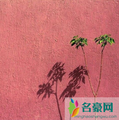 小众是什么意思 成为你的小众爱好是什么意思