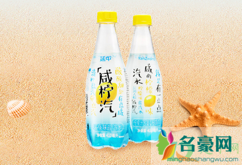 盐汽水是碳酸饮料吗2