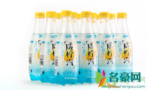 盐汽水是碳酸饮料吗1
