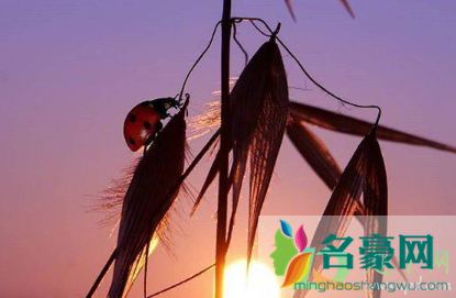 说说心情短语人生感悟20213