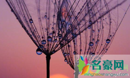 说说心情短语人生感悟20212