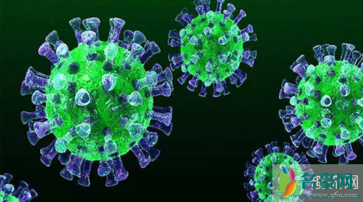 新型冠状病毒会和非典一样突然消失吗 夏天会有冠状病毒吗