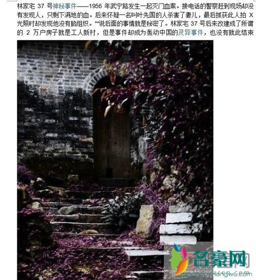 林家宅37号事件真的假的 案子最后定性为一贯道邪教害人
