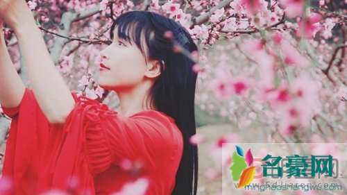 李子柒父母怎么去世的 她不是靠脸吃饭的靠的是手艺