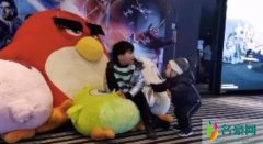 谢楠晒两儿子日常 吴所谓仍由弟弟玩闹画面逗趣有
