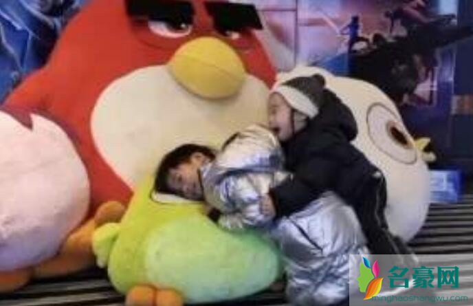 谢楠晒两儿子日常