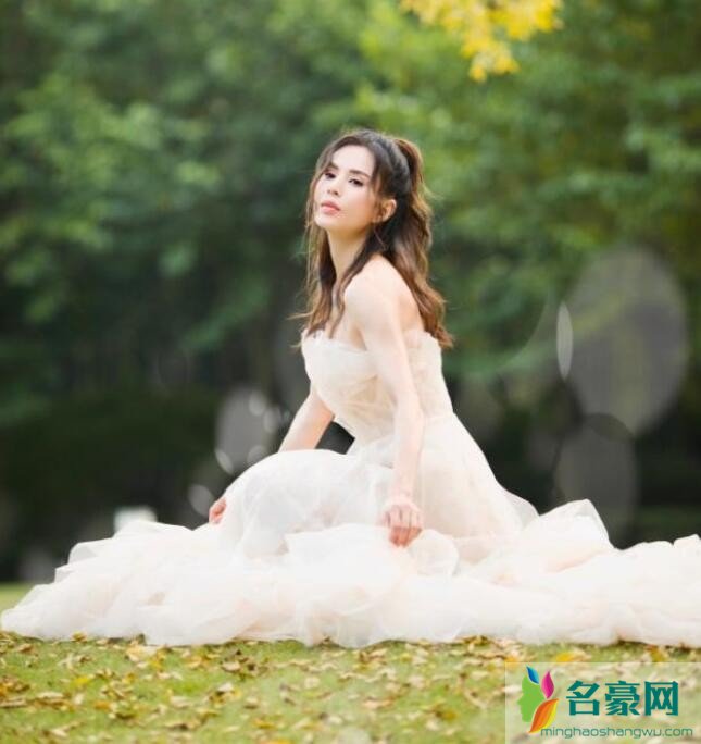 李若彤穿婚纱优雅迷人