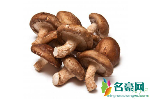 买干香菇好还是鲜香菇好？这两个怎么选，看了这个就知道了！1