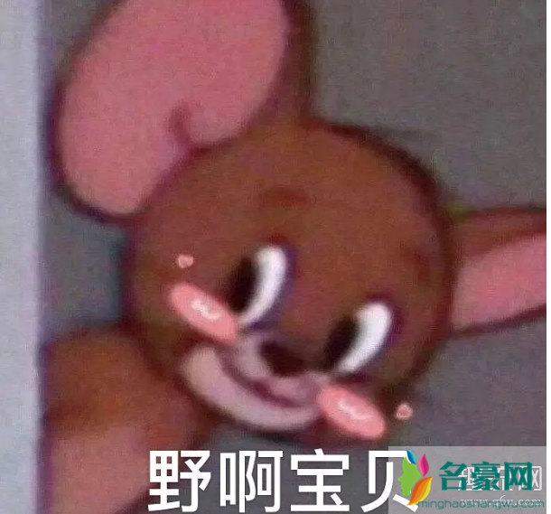 野啊宝贝什么梗 野啊宝贝高清表情包分享