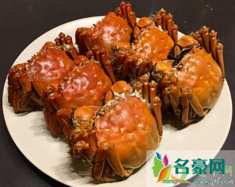 怎么看螃蟹是休眠还是死了3