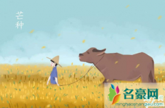 为什么芒种的节气都定在每年的6月6号