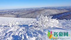 科目三路考下雪会停考吗 考科目三下雪怎么办