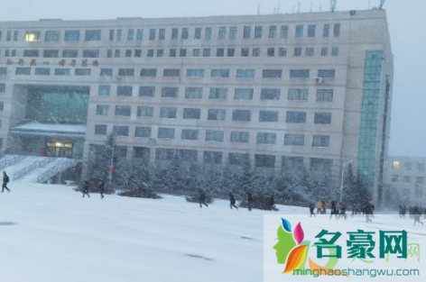 2020-2021年哈尔滨冬天雪量大不大3