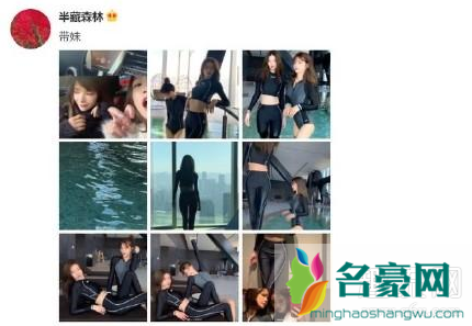 王思聪真·不怪刘阳是什么梗 王思聪喜欢半藏森林吗