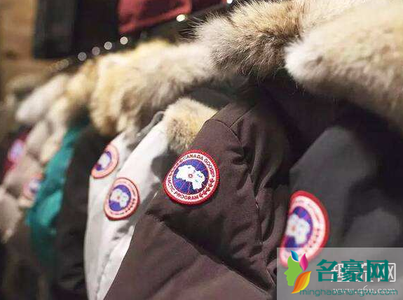 加拿大鹅派克大衣分类有哪些 加拿大鹅派克大衣尺码怎么选