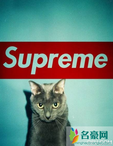 supreme是什么牌子 supreme中国有专卖店吗