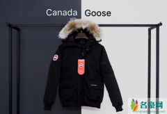 加拿大鹅为什么那么贵？？国内司登高端羽绒服卖不