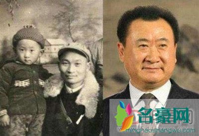 王震和王健林什么关系 王健林爸爸是王震?