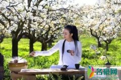 云南人最恨杨丽萍? 拆不掉月亮宫和太阳宫洱海治理