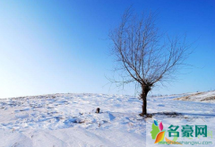 2021今天全国哪里下雪了 下雪天吃什么食物好