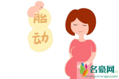 宝宝胎动只在一边动
