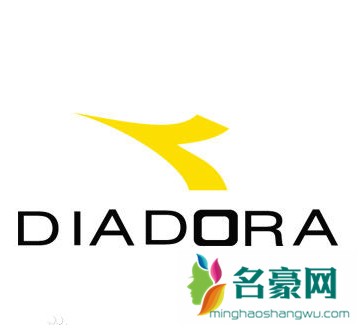 diadora是什么牌子 迪亚多纳和李宁哪个好