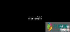 maharishi是什么品牌？maharishi有哪些好看的单品