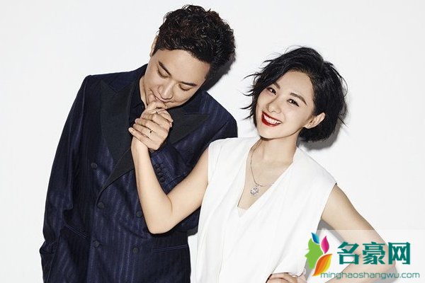刘璇王弢离婚了吗 在美国登记结婚是什么意思？