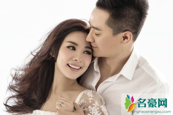 刘璇王弢离婚了吗 在美国登记结婚是什么意思？