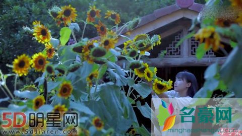 《中餐厅2》的主厨是谁 古风加美食主播会是李子柒吗