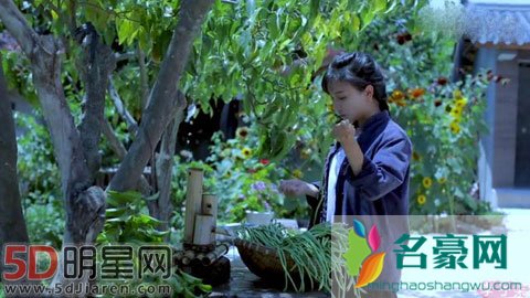 《中餐厅2》的主厨是谁 古风加美食主播会是李子柒吗
