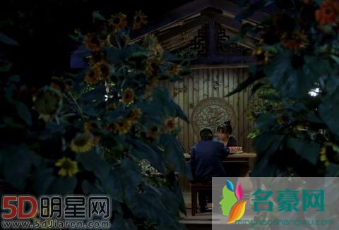 《中餐厅2》的主厨是谁 古风加美食主播会是李子柒吗