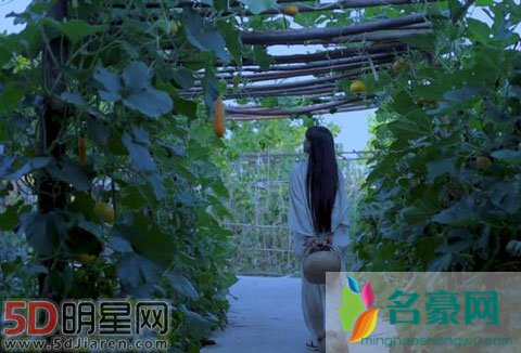 《中餐厅2》的主厨是谁 古风加美食主播会是李子柒吗