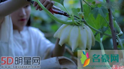 《中餐厅2》的主厨是谁 古风加美食主播会是李子柒吗