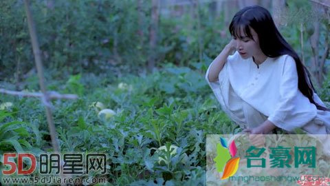 《中餐厅2》的主厨是谁 古风加美食主播会是李子柒吗