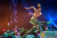 杨丽萍的莲花心好恐怖 是大理的一张名片凭着孔雀