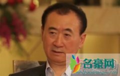 鲁豫王健林有一腿有染吗 鲁豫为什么那么牛谁都能