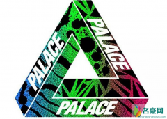 PALACE简介与科普？